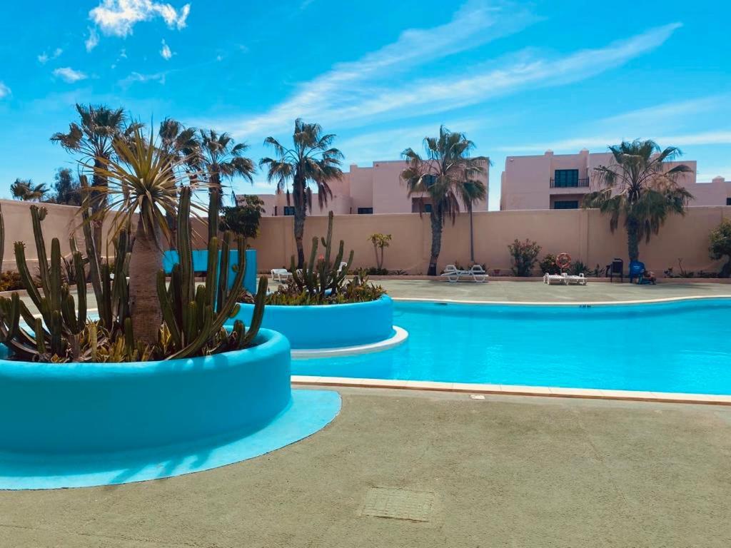 Surf And Chill Bungalow 70 Apartment Parque Holandes Exterior foto