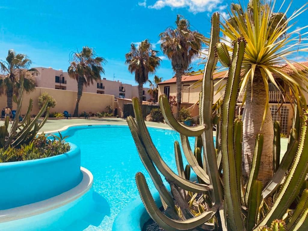 Surf And Chill Bungalow 70 Apartment Parque Holandes Exterior foto