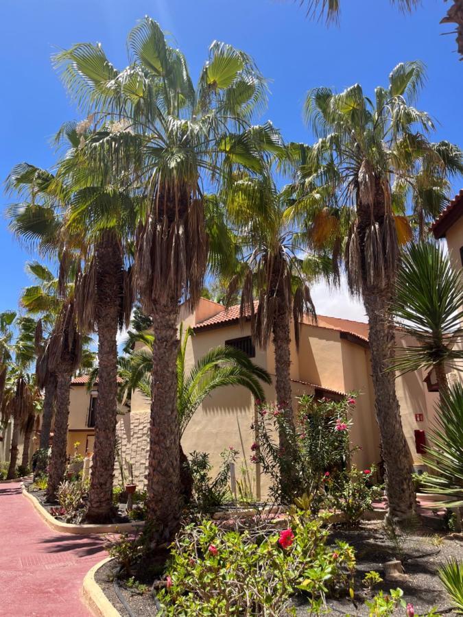 Surf And Chill Bungalow 70 Apartment Parque Holandes Exterior foto