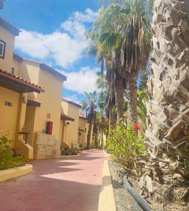 Surf And Chill Bungalow 70 Apartment Parque Holandes Exterior foto